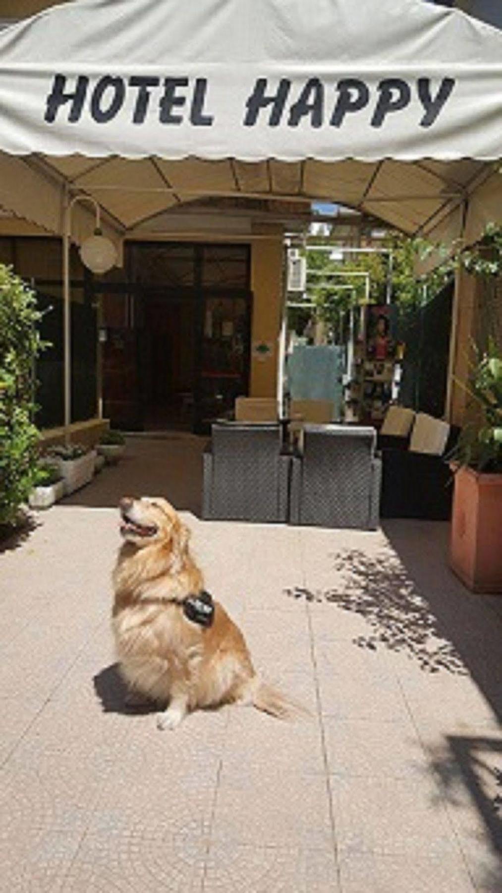 Hotel New Happy Римини Экстерьер фото